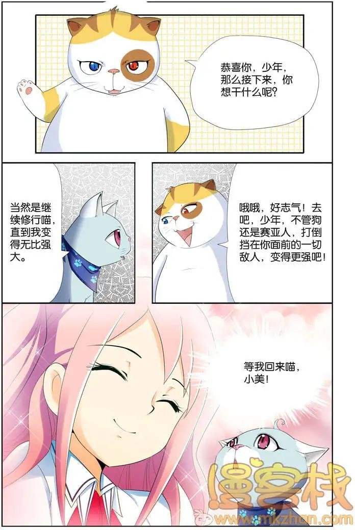 进击的猫咪篇