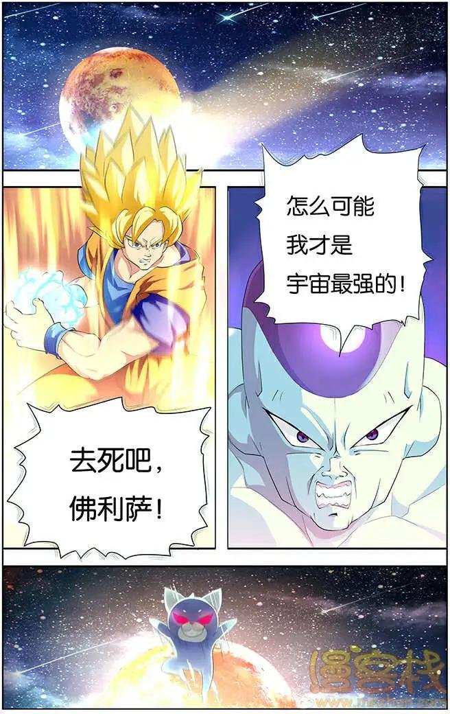 进击的猫咪篇