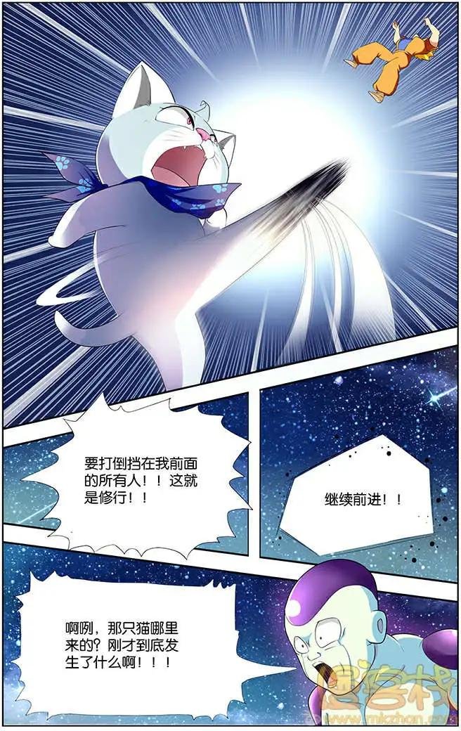 进击的猫咪篇