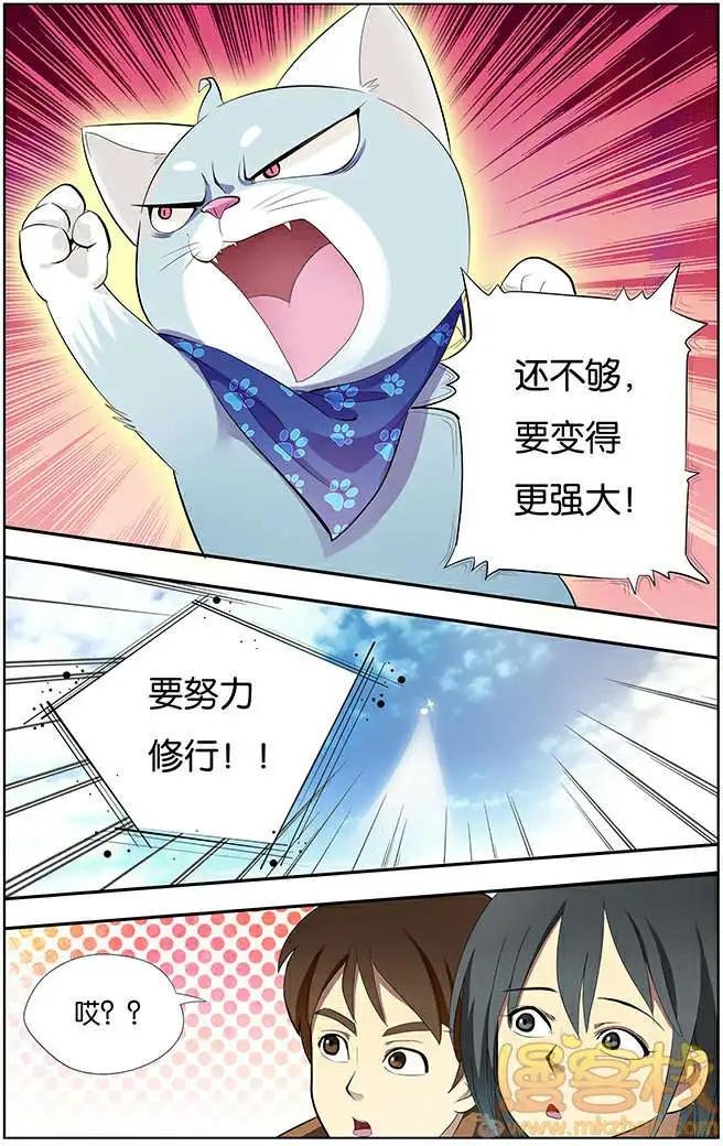 进击的猫咪篇