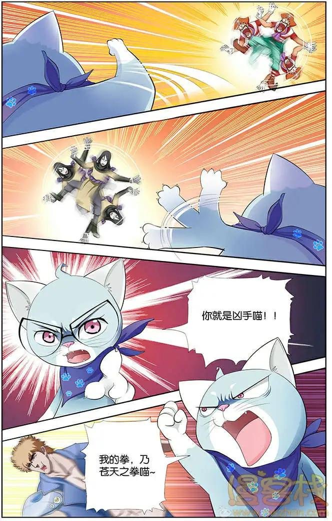 进击的猫咪篇