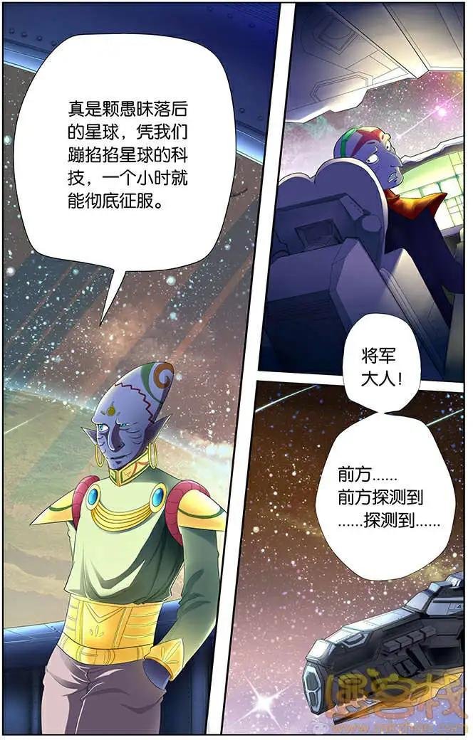 进击的猫咪篇