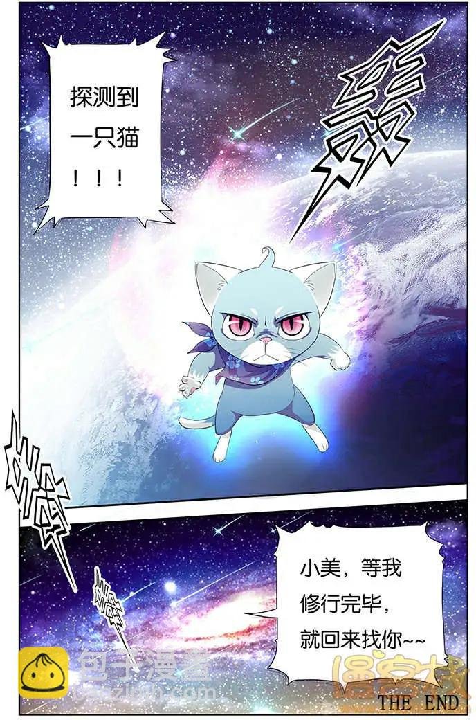 进击的猫咪篇