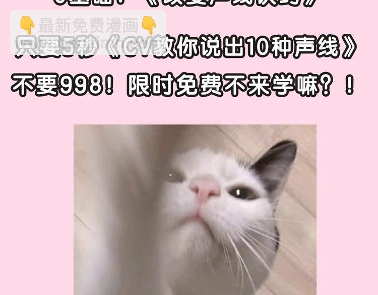 CV-浅凝夏央 专访篇