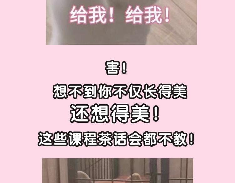 CV-浅凝夏央 专访篇