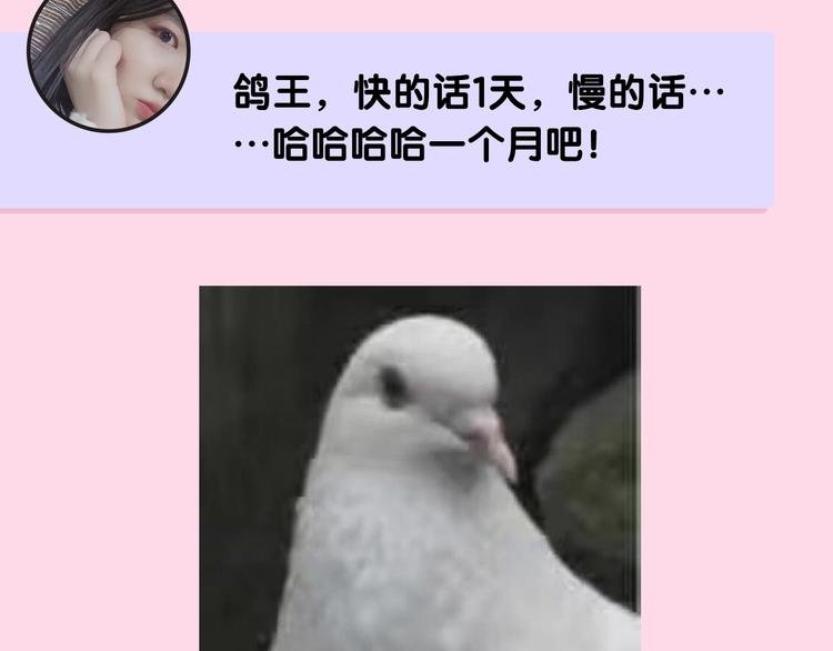 CV-浅凝夏央 专访篇