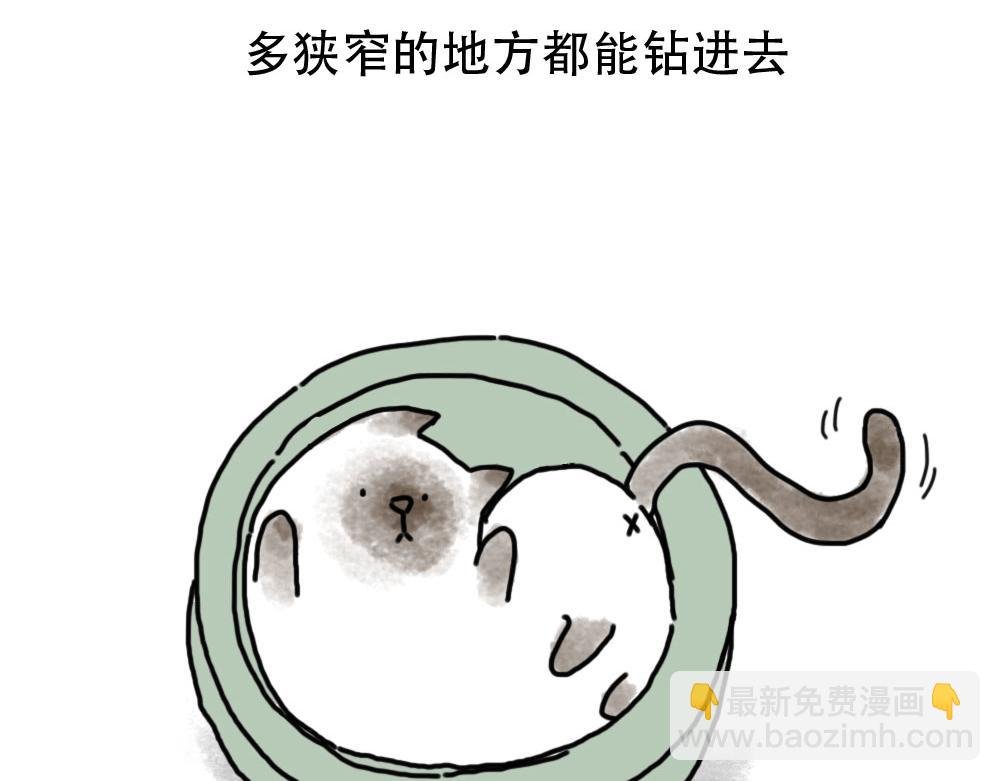 第1话 人类，教你学做猫