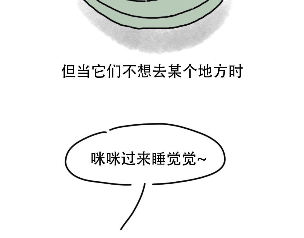 第1话 人类，教你学做猫