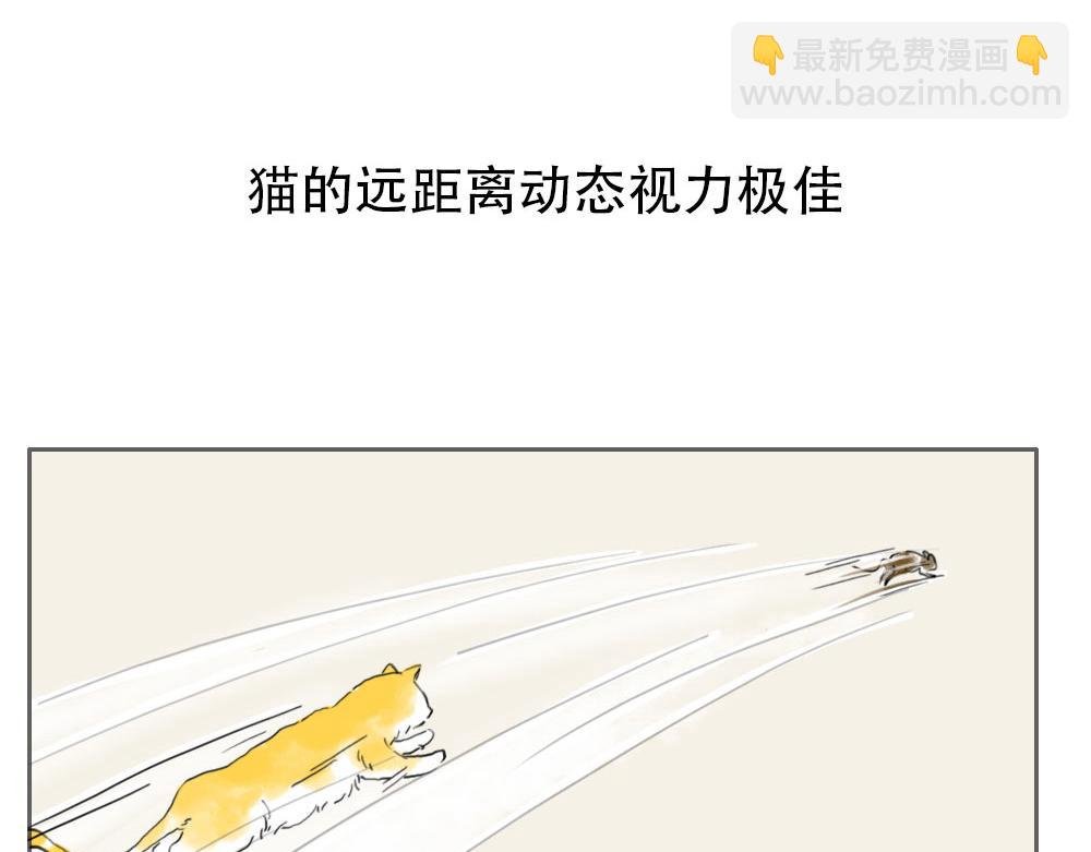 第1话 人类，教你学做猫