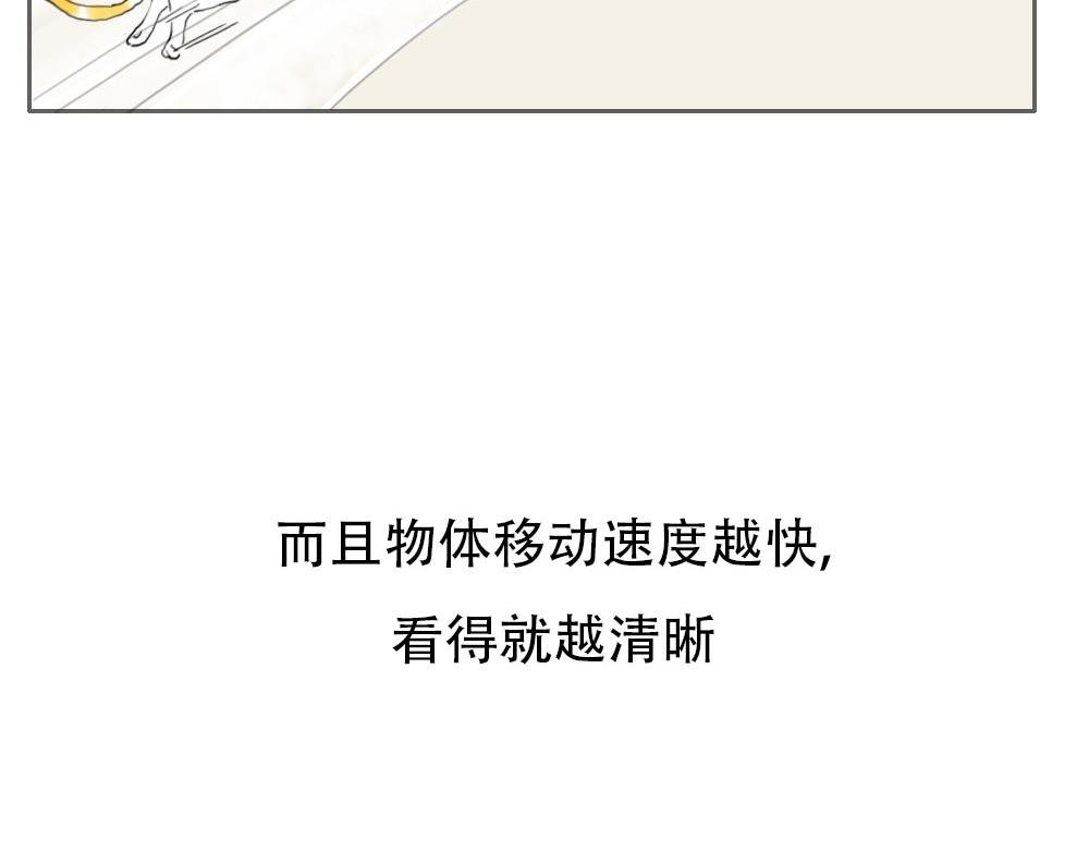 第1话 人类，教你学做猫