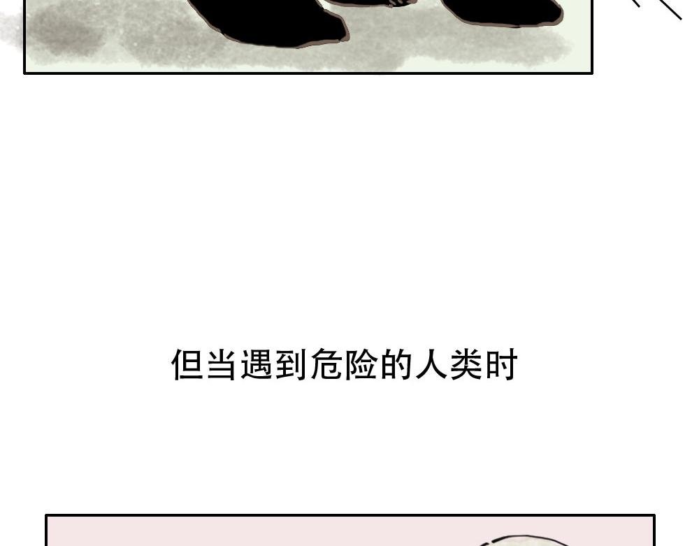 第1话 人类，教你学做猫