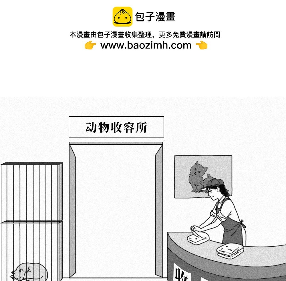 7. 猫生