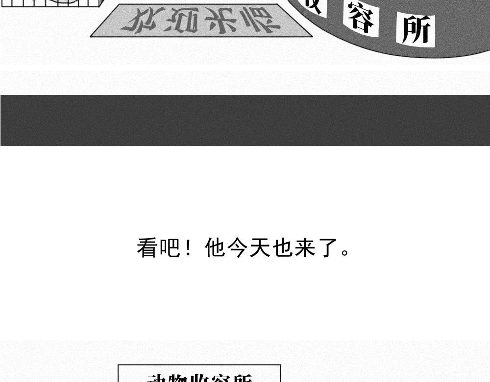 7. 猫生