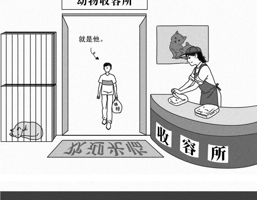 7. 猫生
