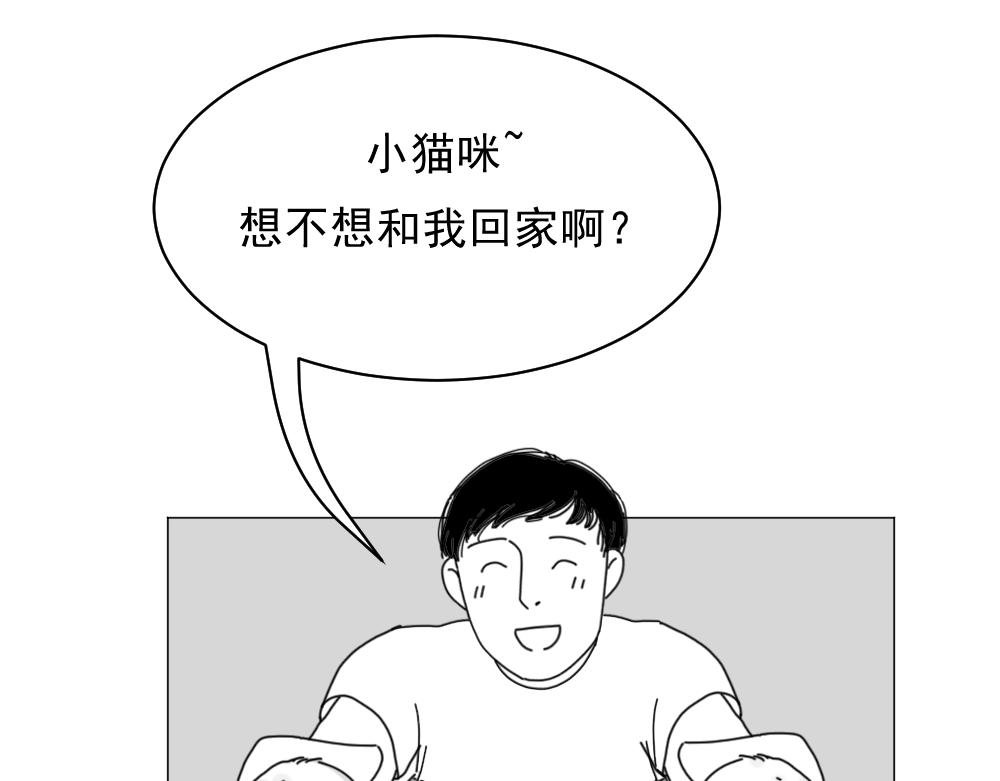 7. 猫生