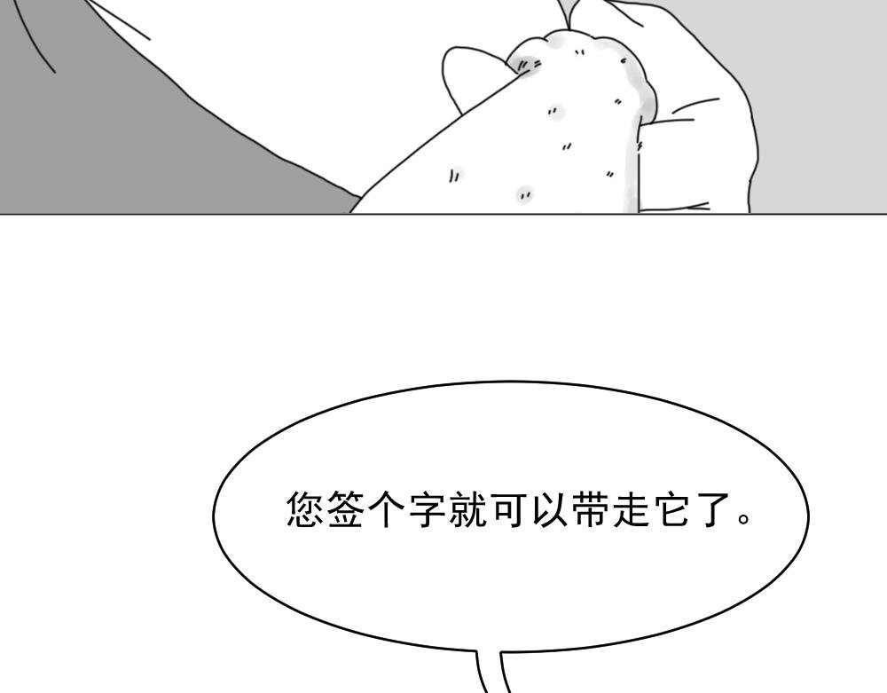 7. 猫生