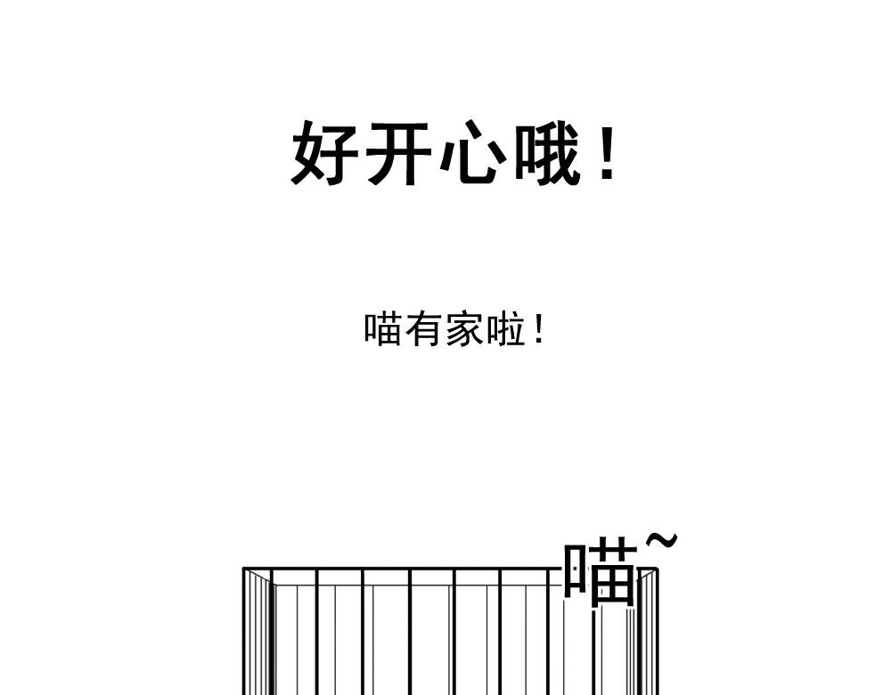 7. 猫生