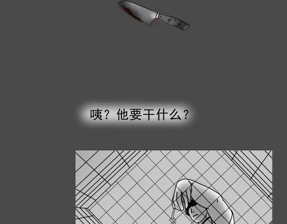 7. 猫生