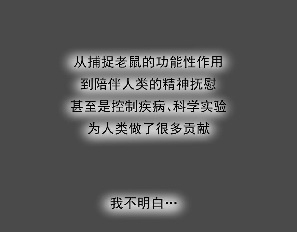 7. 猫生