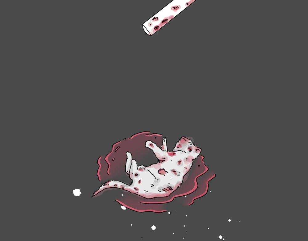 7. 猫生