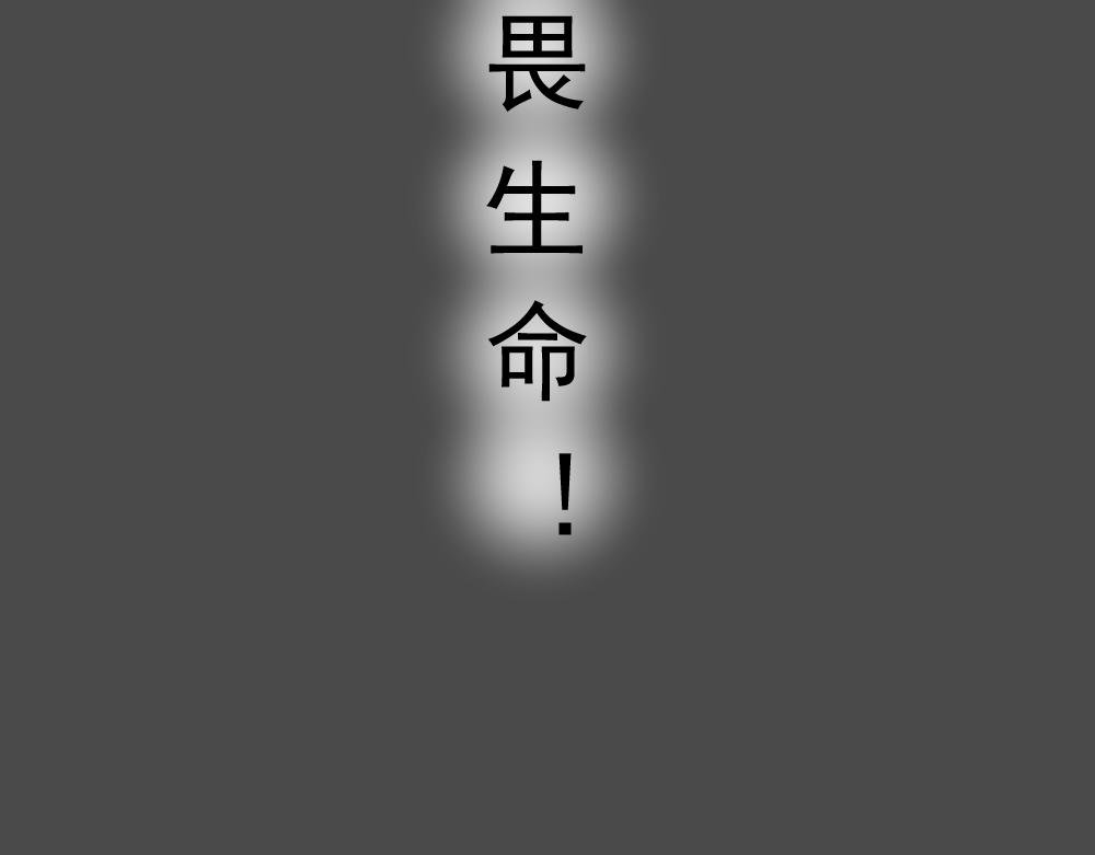 7. 猫生