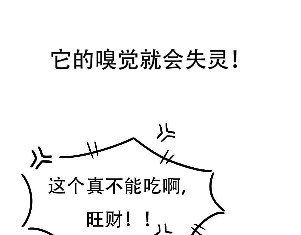 第2话 三狗行，必有我…嗯？