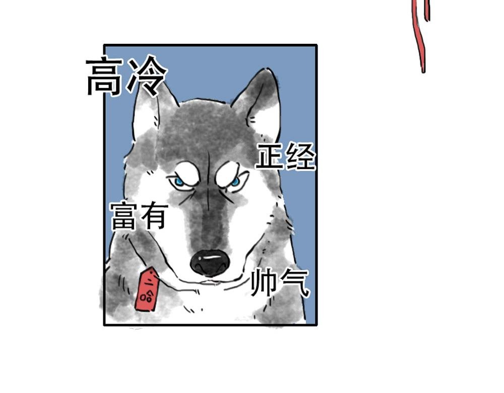 第2话 三狗行，必有我…嗯？