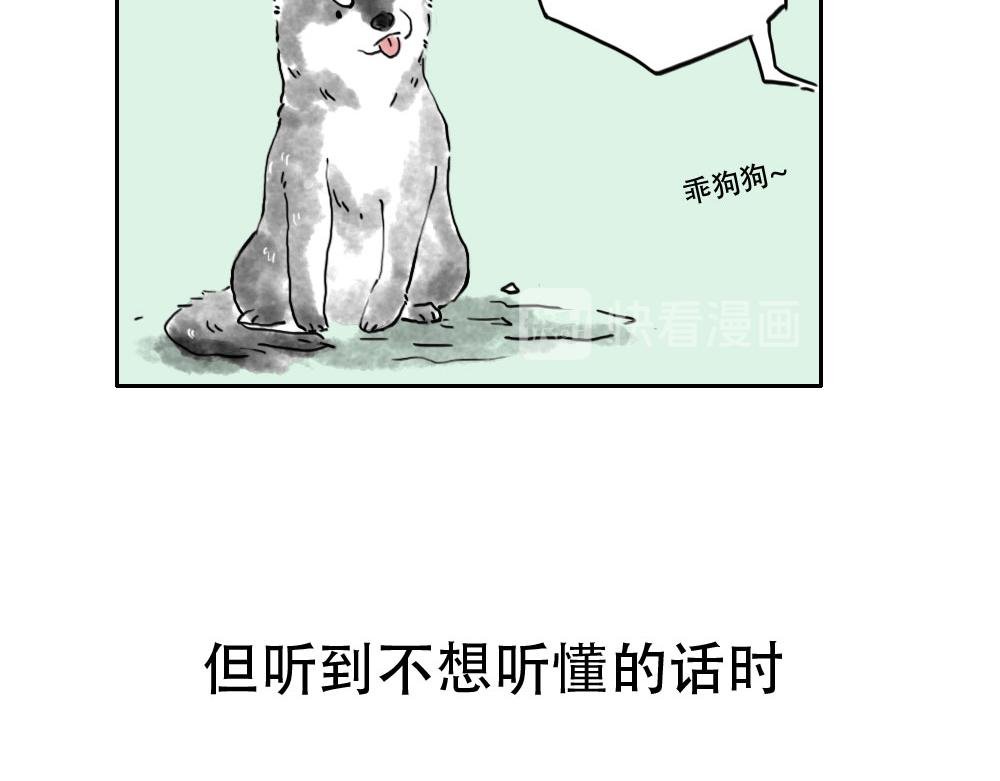 第2话 三狗行，必有我…嗯？