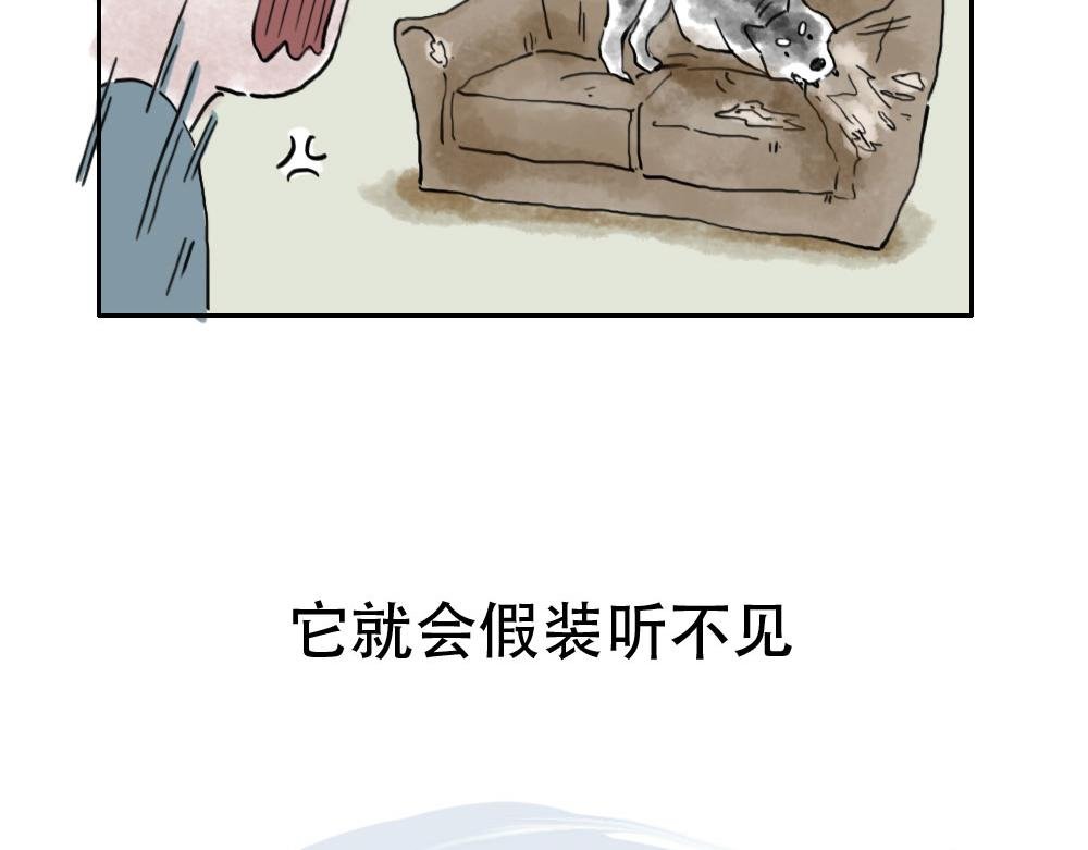 第2话 三狗行，必有我…嗯？