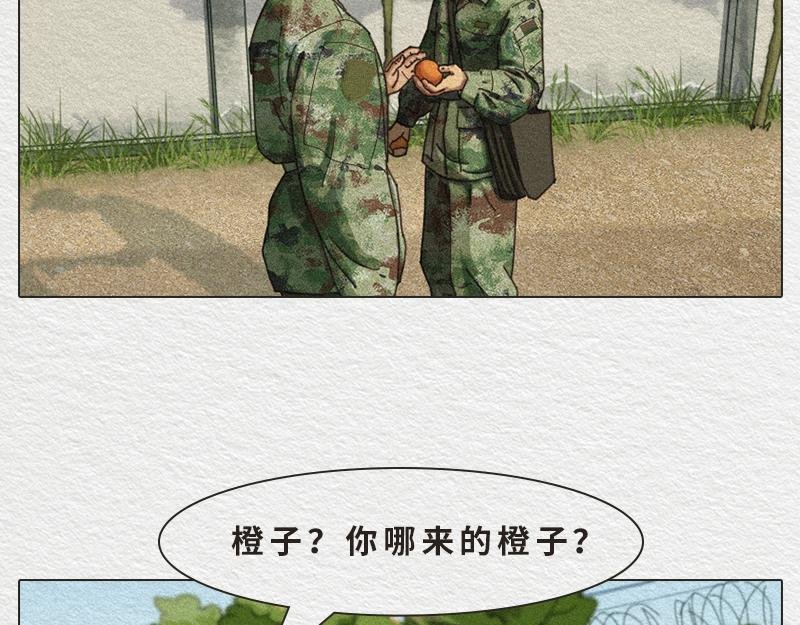 橙子