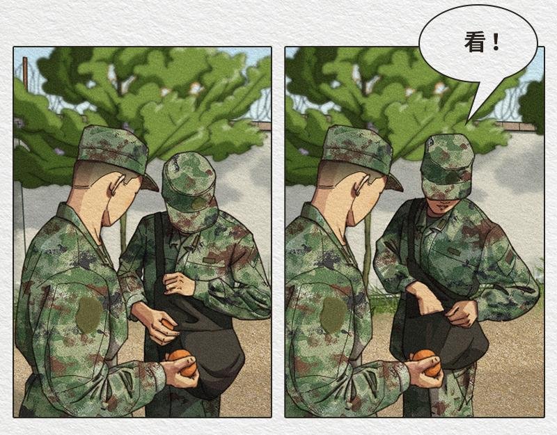 橙子