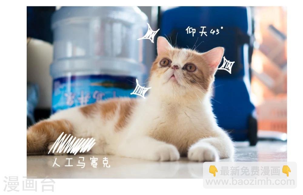 拖更番外系列