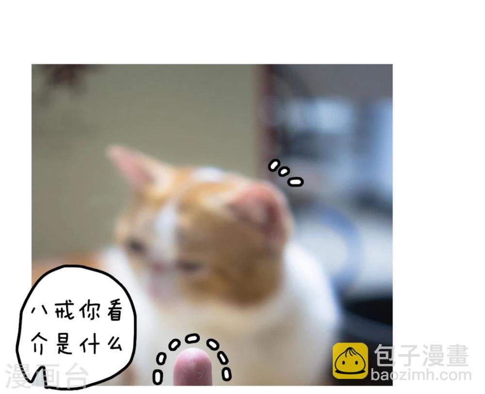 拖更番外系列
