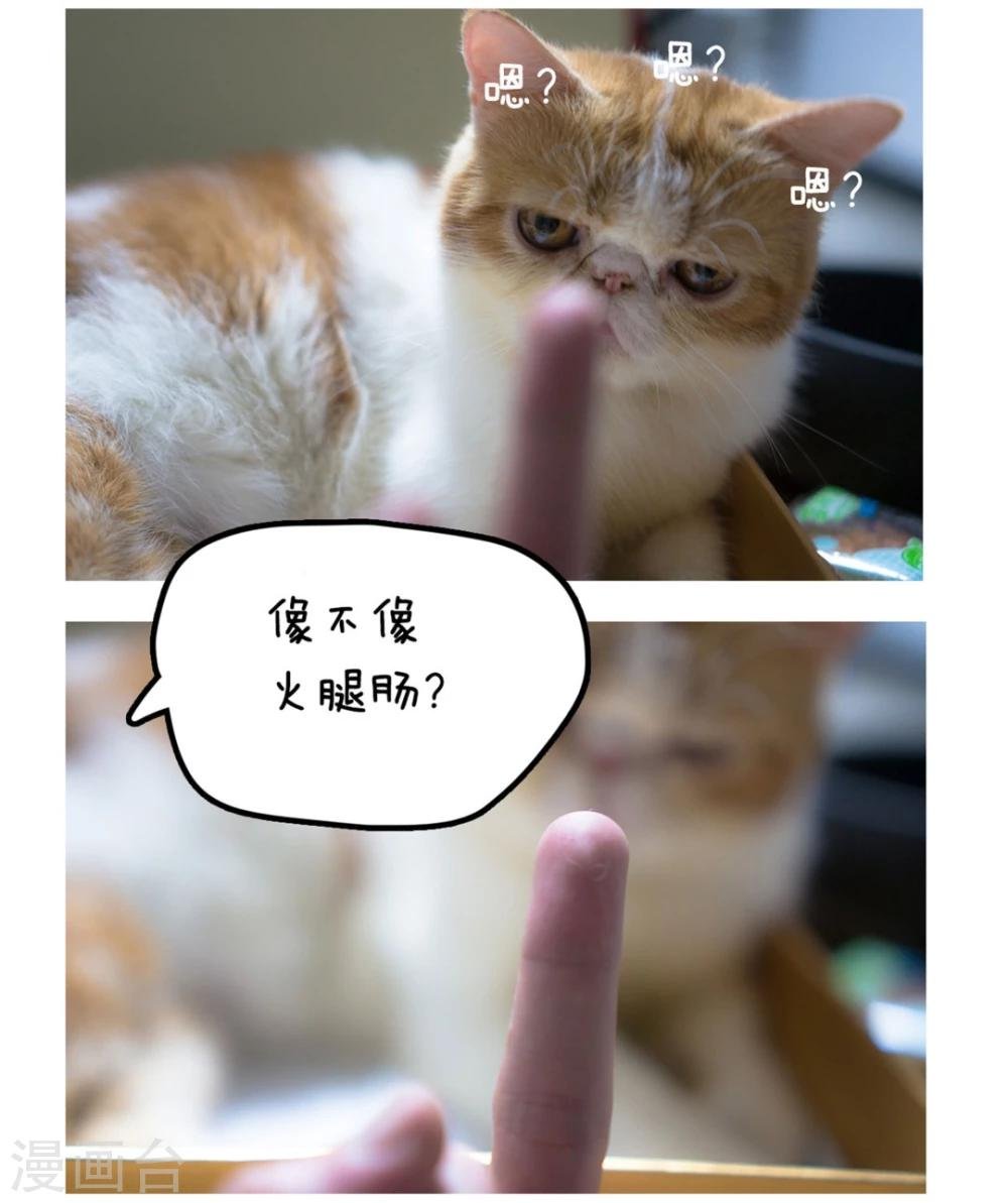 拖更番外系列