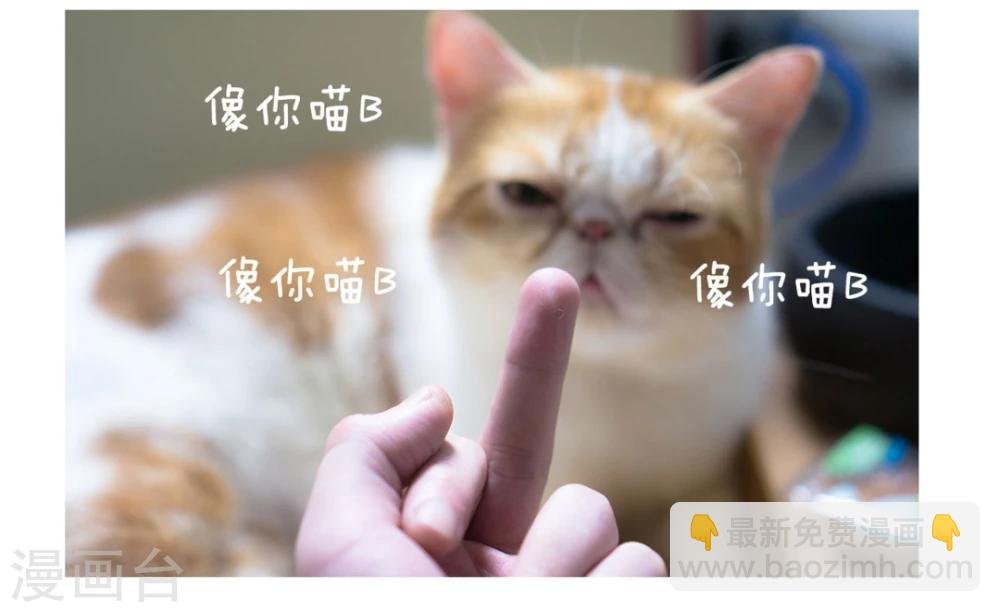 拖更番外系列