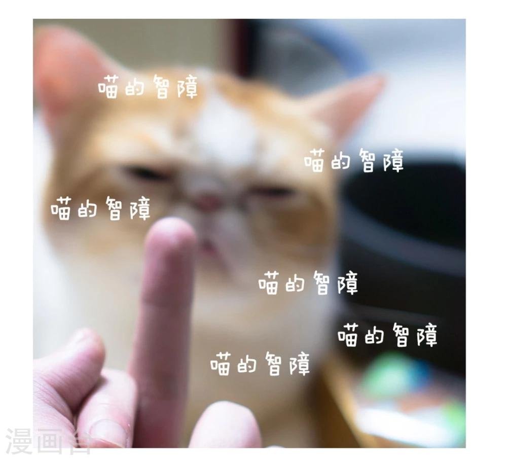 拖更番外系列