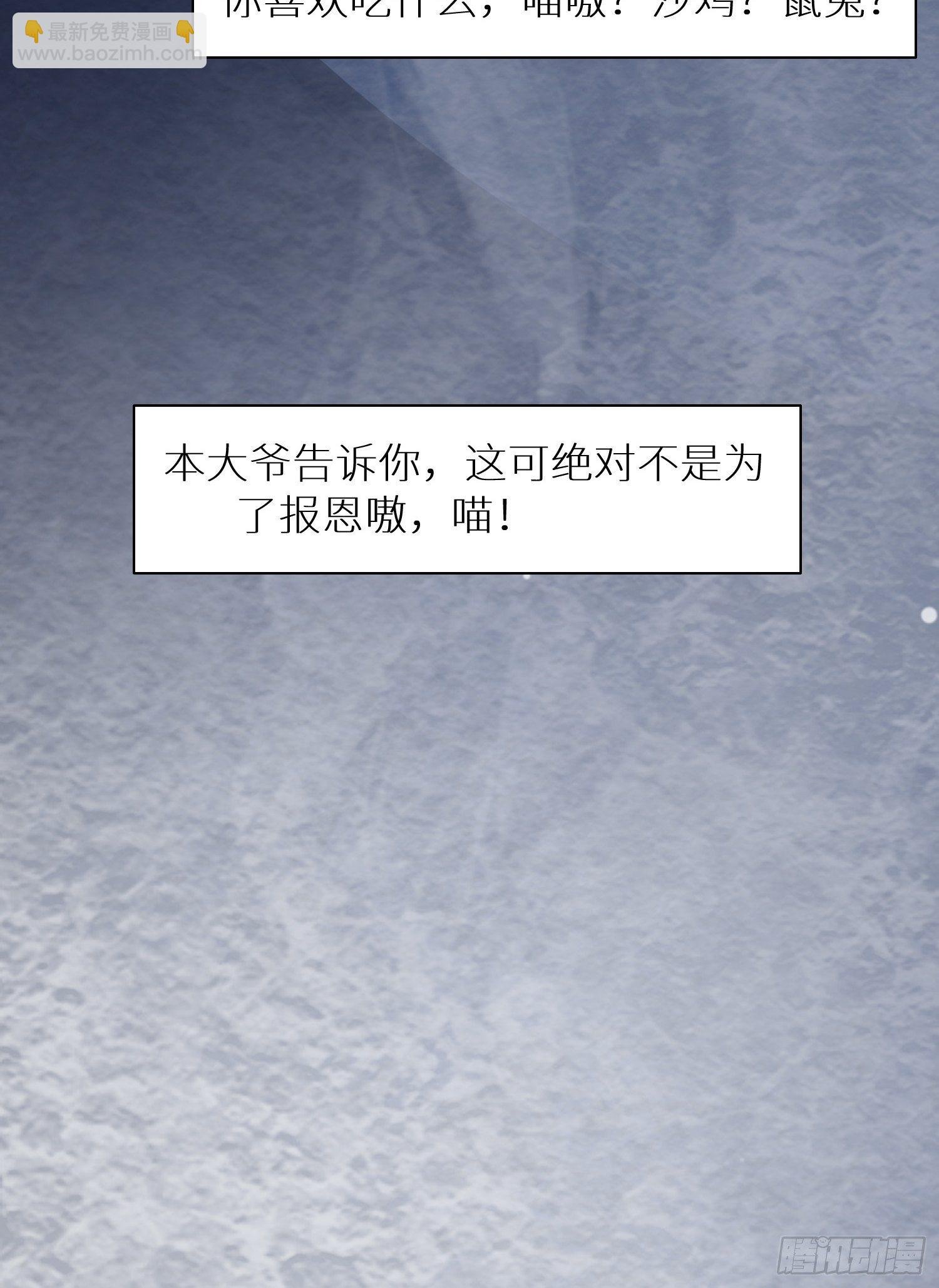 国庆番外之兔狲驯养指南