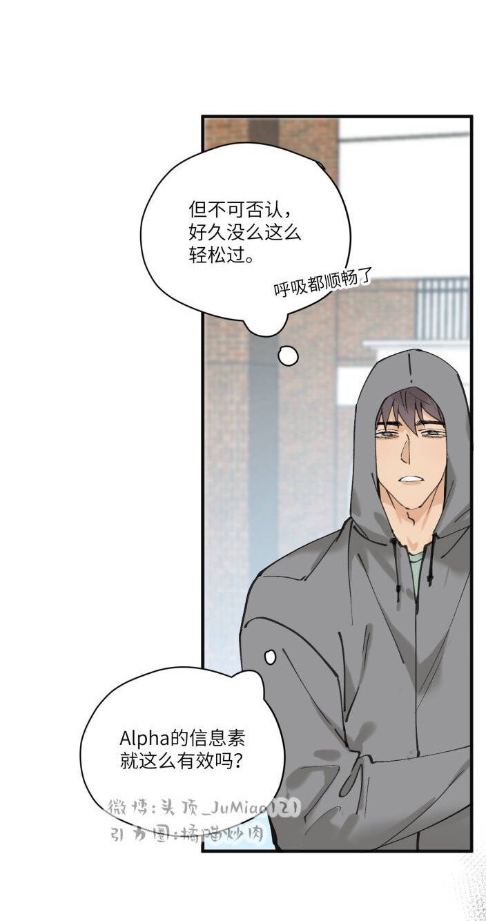第6话 虫子真多