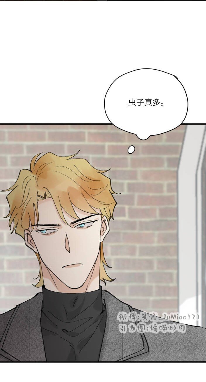 第6话 虫子真多