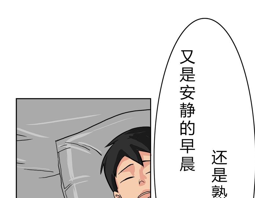 实力与自由