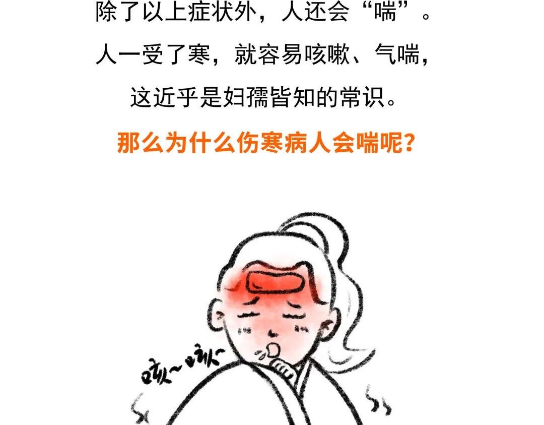 第7号 感冒为什么会咳嗽？