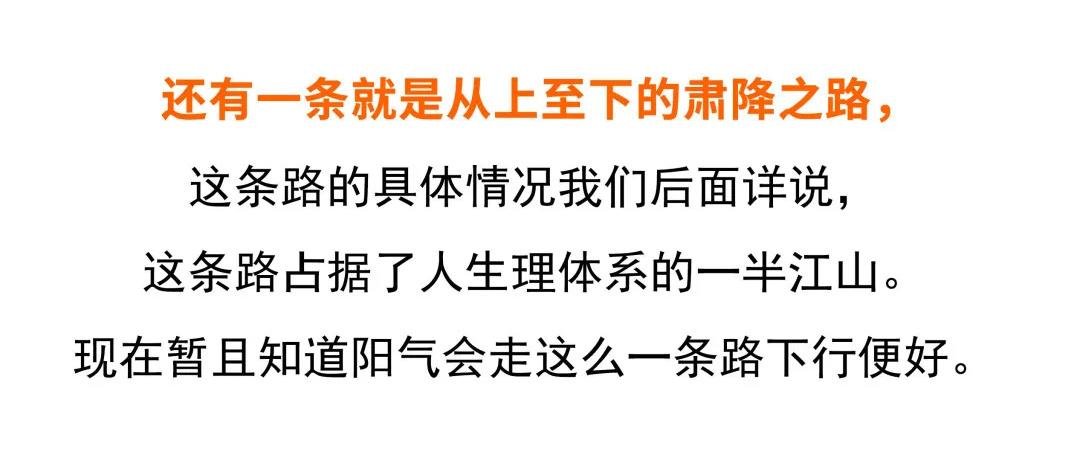 第7号 感冒为什么会咳嗽？