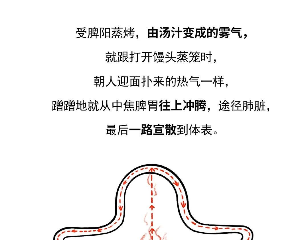 第二话 体表防御屏障是怎么形？