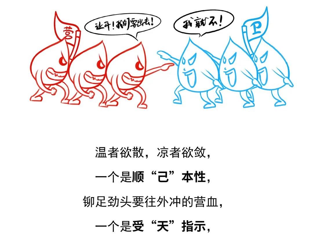 第二话 体表防御屏障是怎么形？