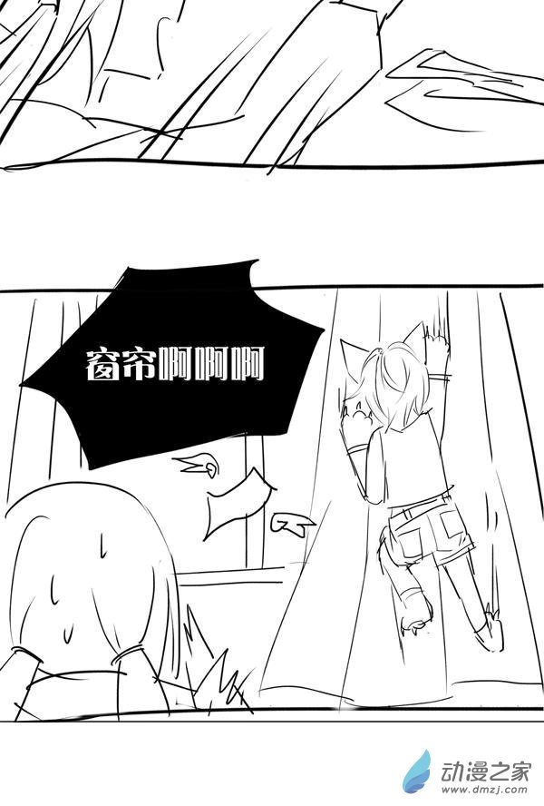 05.养猫新手