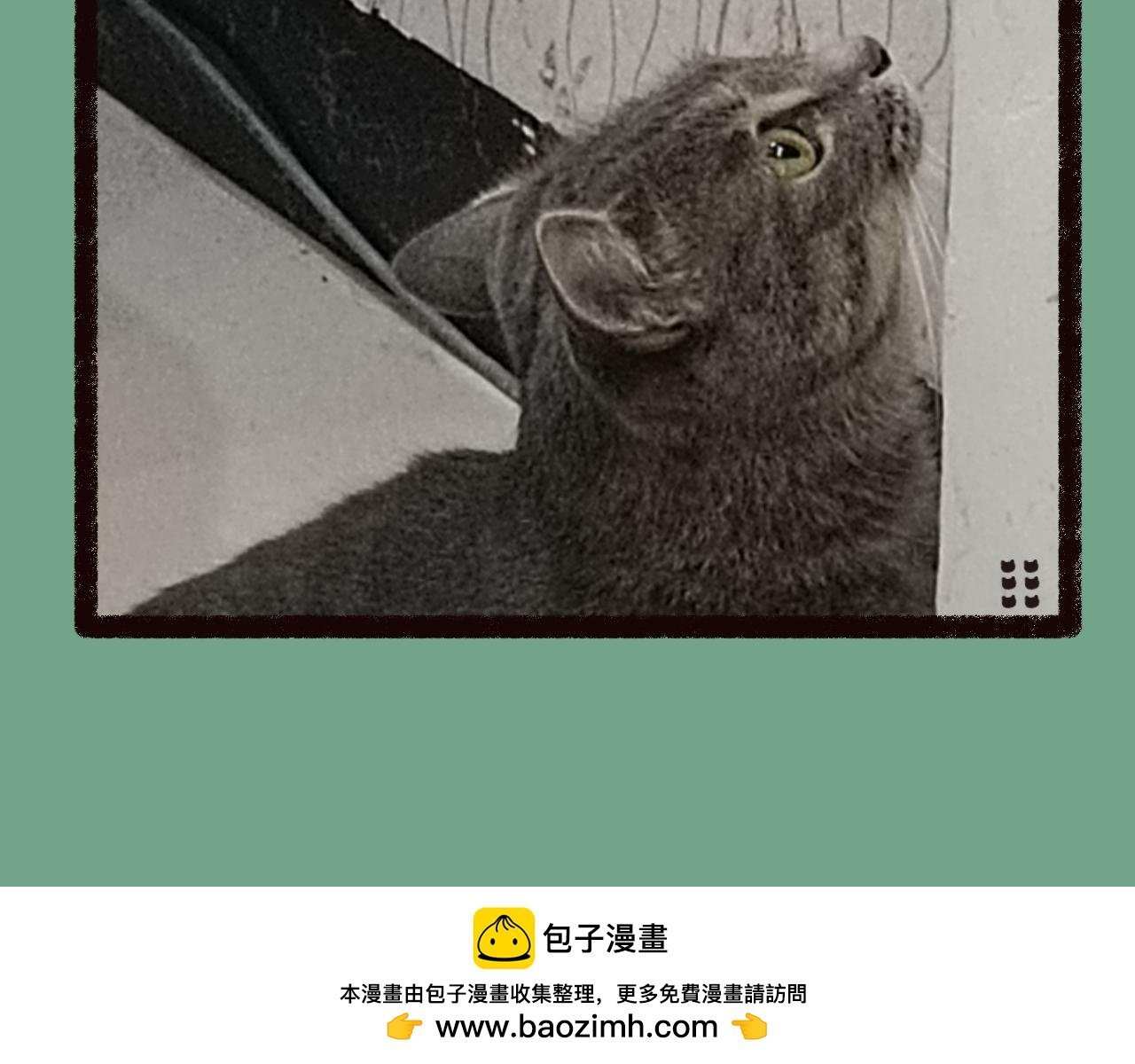 第二话 坠落地球（上）