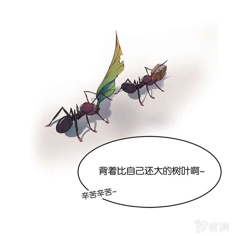 第五回