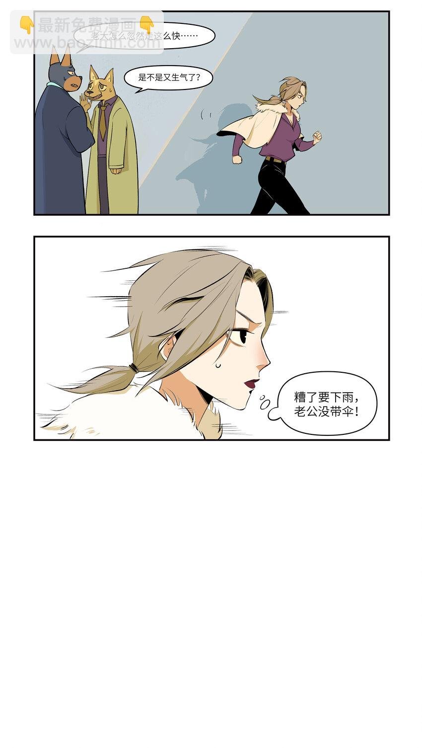 11 贤妻良母