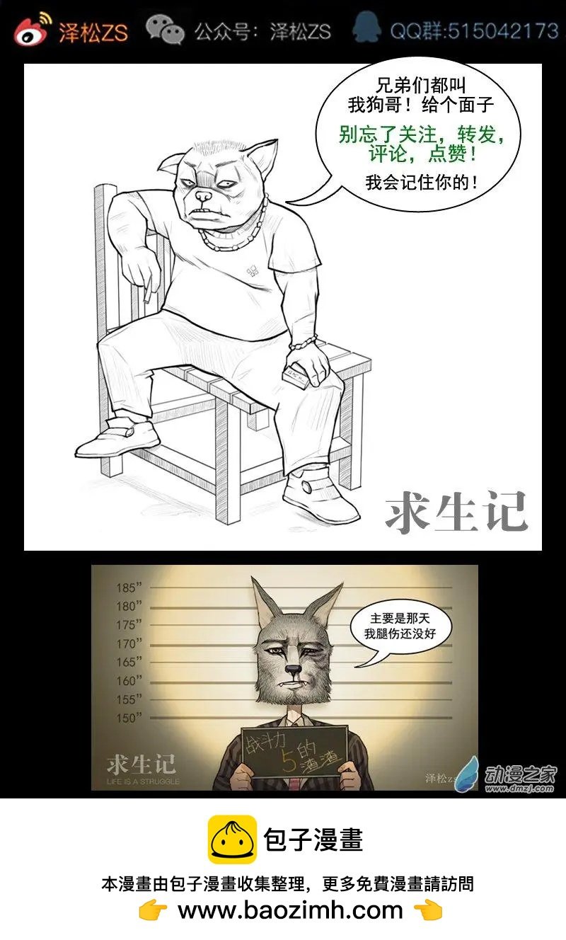 第13回
