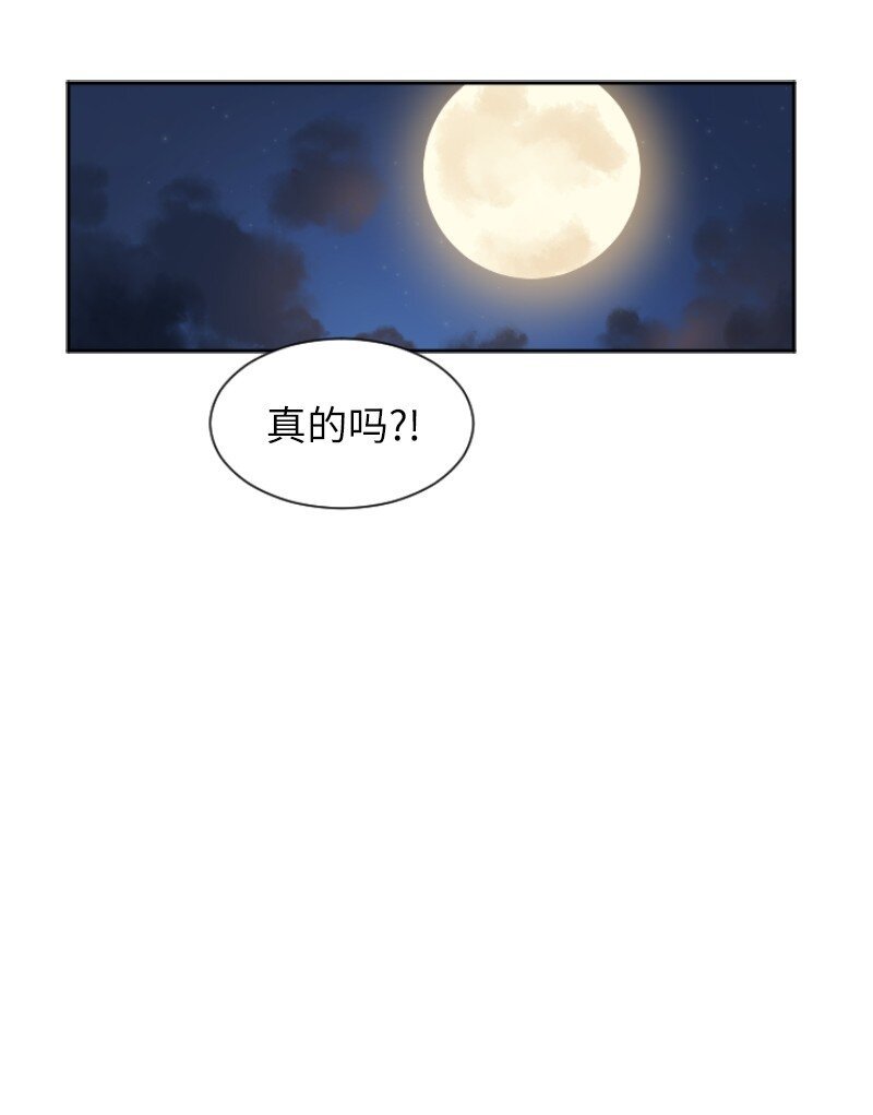 02 路遇狼群